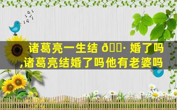 诸葛亮一生结 🌷 婚了吗,诸葛亮结婚了吗他有老婆吗